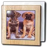 Great Danes - 6 Inch Tile Napkin Holder