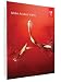 Adobe Acrobat Professional XI Windows