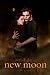 Twilight New Moon Poster Edward and Bella Full Size Print