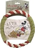 DISNEY MICKEY FLIER SML )24 - Small