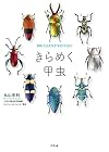 きらめく甲虫