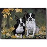 Boston Terriers Terrier Dog Rug Indoor Outdoor Doormat Mat by Fiddler's Elbow