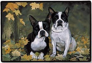 image link - - B0011FPN0U