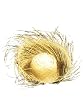 Birds Nest Hat Tourist Hat Hawaii Bahamas Tropical Style Hat