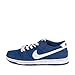 Nike Men's Dunk Low Pro IW Skate Shoe