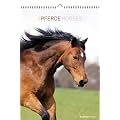 Pferde 2012. Kalender DIN A3 mit Ringbindung