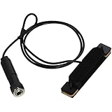 Lace Bajo Sexto - With Female Jack