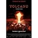 (27x40) Volcano Movie Tommy Lee Jones Original Poster Print