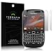 BLACKBERRY BOLD TOUCH 9900 SCREEN PROTECTOR / GUARD / FILM / COVER, 2-IN-1 PACK BY TERRAPIN