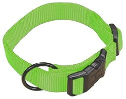 Hamilton 1-Inch Adjustable Dog Collar, Large, Fits 18-Inch by 26-Inch, Lime Green