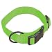 Hamilton 1-Inch Adjustable Dog Collar, Large, Fits 18-Inch by 26-Inch, Lime Green