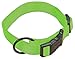 Hamilton Adjustable Nylon Dog Collar for Small Medium Large Dogs, Lime, 5/8