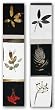 New III-IV Set by Ivan Reyes 12"x36" Art Print Poster Latin