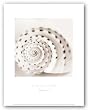 Atlantis 1 by Alan Blaustein 8"x8" Art Print Poster
