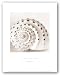 Atlantis 1 by Alan Blaustein 8"x8" Art Print Poster