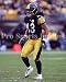 Troy Polamalu Pittsburgh Steelers 8x10 Photo