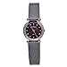 Skagen Women's 107SDDD Quartz Stainless Steel Brown Mother Of Pearl Dial Watch