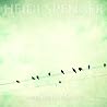 Bild des Albums von Heidi Spencer