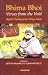 Bhima Bhoi, Versus From the Void: Mystic Poetry of an Oriya Saint