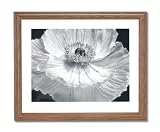 Poppy Flowers B/W Photo Contemporary Home Decor Wall Picture Oak Framed Art Print