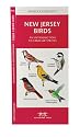 New Jersey Birds