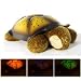 LED-Schildkröte mit Sternbild-Projektion & Farbwechsle - Diese Schildkröte holt die Sterne ins Kinderzimmer - perfekte Einschlafhilfe