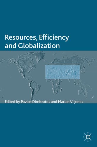 Resources, Efficiency and Globalization (Academy of International Business (UKI) Series)