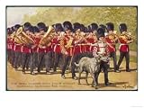 The Band of the Irish Guards March with Their Regimental Mascot an Irish Wolfhound of Course Art Giclee Poster Print, 16x12
