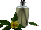 Aromatherapy Home Perfume Diffusers (36 fragrances)