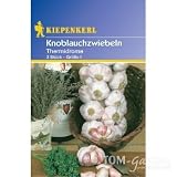 Eigenschaften Kiepenkerl  / Knoblauch, Thermidrome