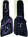 RITTER RCG700-9BIB BRB モッキンバード/アイアンバードベース用ギグバッグ