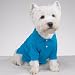 Preppy Puppy Cape Blue Dog Polo Shirt at THE REGAL DOG - SIze XL