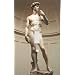 Michelangelo David Decorative Switchplate Cover