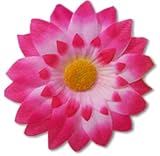 Pink Starburst Daisy Clips(1 dz)