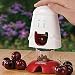 Harold Import 00508 "Talisman Designs" Cherry Chomper Cherry Pitter