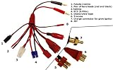 Tarantula Eight-in-One RC Charging Cable - Charge Anything with this Multi-Connector Adapter