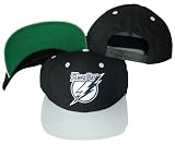 Tampa Bay Lightning Black/Silver Two Tone Snapback Adjustable Plastic Snap Back Hat / Cap