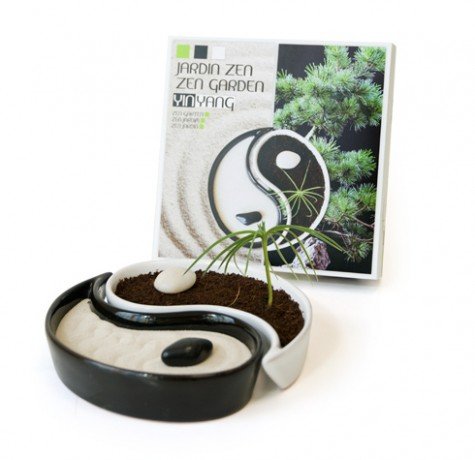 Coffret Yin Yang