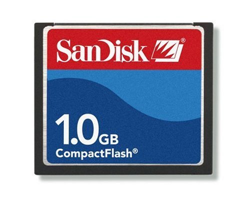 Childrens Toyshop  Electronics : SanDisk 1GB CompactFlash Card
