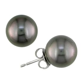 14K White Gold 9-10mm Black Tahitian Pearl Earrings by 