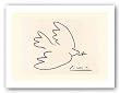 Dove of Peace - Serigraph by Pablo Picasso 15.75"x22" Art Print Poster