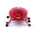 Echo Hexbug Robotic Toy