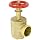 Moon 170-2521 Brass Angle Hose Valve, Rising Stem, 2-1/2" FNPT x MNH