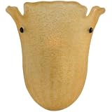 Sea Gull Lighting 94104-6024 Ambiance Martinique Sconce with Encrusted Amber Glass, Antique Bronze