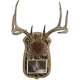 Walnut Hollow Country Deluxe Antler Display Kit with Photo Frame, Oak with Camo