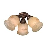 Fiorentino Ceiling Fan Light Kit in New Tortoise Shell 41c8YoqnpJL. SL160 Fiorentino Ceiling Fan Light Kit in New Tortoise Shell