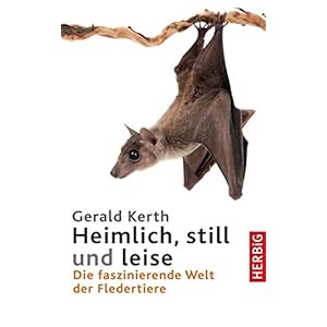 Heimlich, still und leise: Die faszinierende Welt der Fledertiere