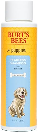 Fetch For Pets FFP7263 Burt's Bees Tearless Puppy Shampoo, 16oz, multicolor