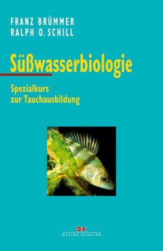 Tauchausbildung