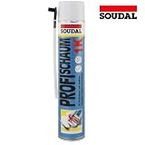 Details zu "SOUDAL Profi Montageschaum B2 - 750ml" Details zu "SOUDAL Profi Montageschaum B2 - 750ml"